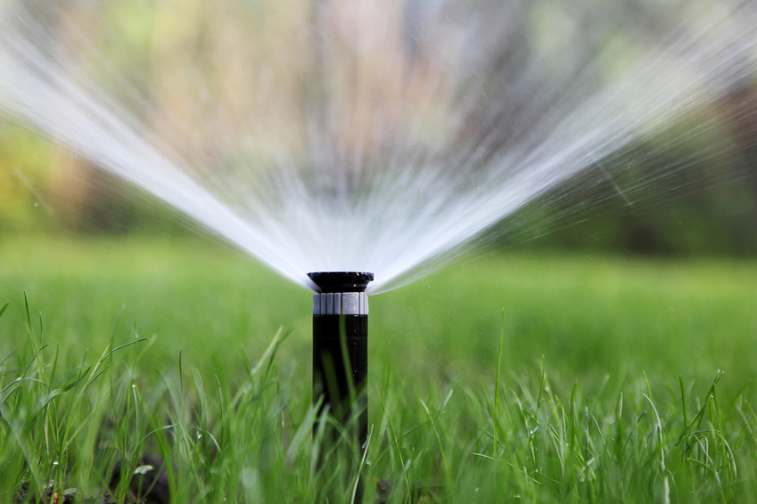 How To Rescue A Winter-Damaged Yard